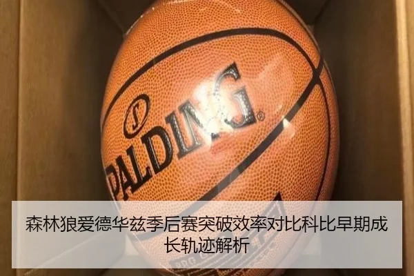 森林狼爱德华兹季后赛突破效率对比科比早期成长轨迹解析