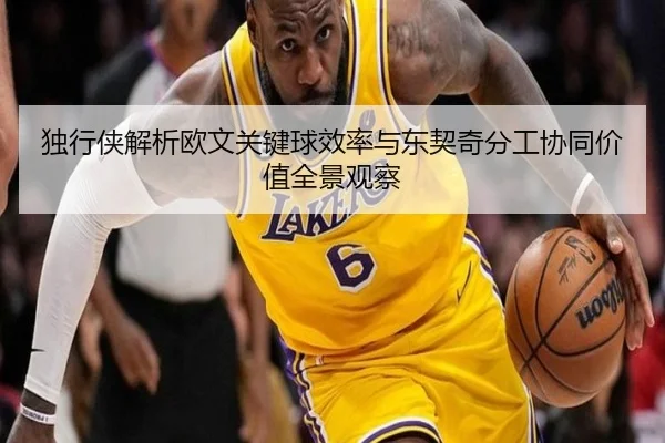 独行侠解析欧文关键球效率与东契奇分工协同价值全景观察