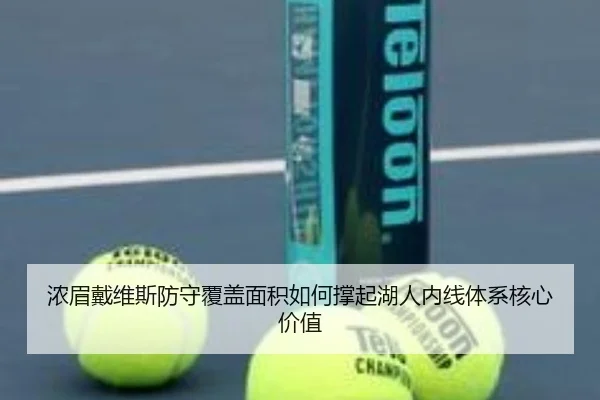 浓眉戴维斯防守覆盖面积如何撑起湖人内线体系核心价值